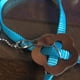 thumbnail image 2 of Methold Pet Bird Chaleco Correa Volar al aire libre Anti-mordedura Nylon Ajustable Bird Training Walking Leash Rope Aseo de mascotas azul, 2 of 6