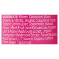 thumbnail image 2 of Odyssey Elixir: Energy Plus Focus Dragon Fruit Lemonade, 12 Fo, Pack of 12, 2 of 3