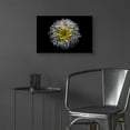 thumbnail image 6 of Epic Art 'Backyard Flowers 46 Color Version' by Brian Carson, Acrylic Glass Wall Art, 24"x16", 6 of 8