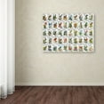 thumbnail image 3 of Trademark Fine Art '50 Birds' Canvas Art by Vintage Apple Collection, 3 of 3