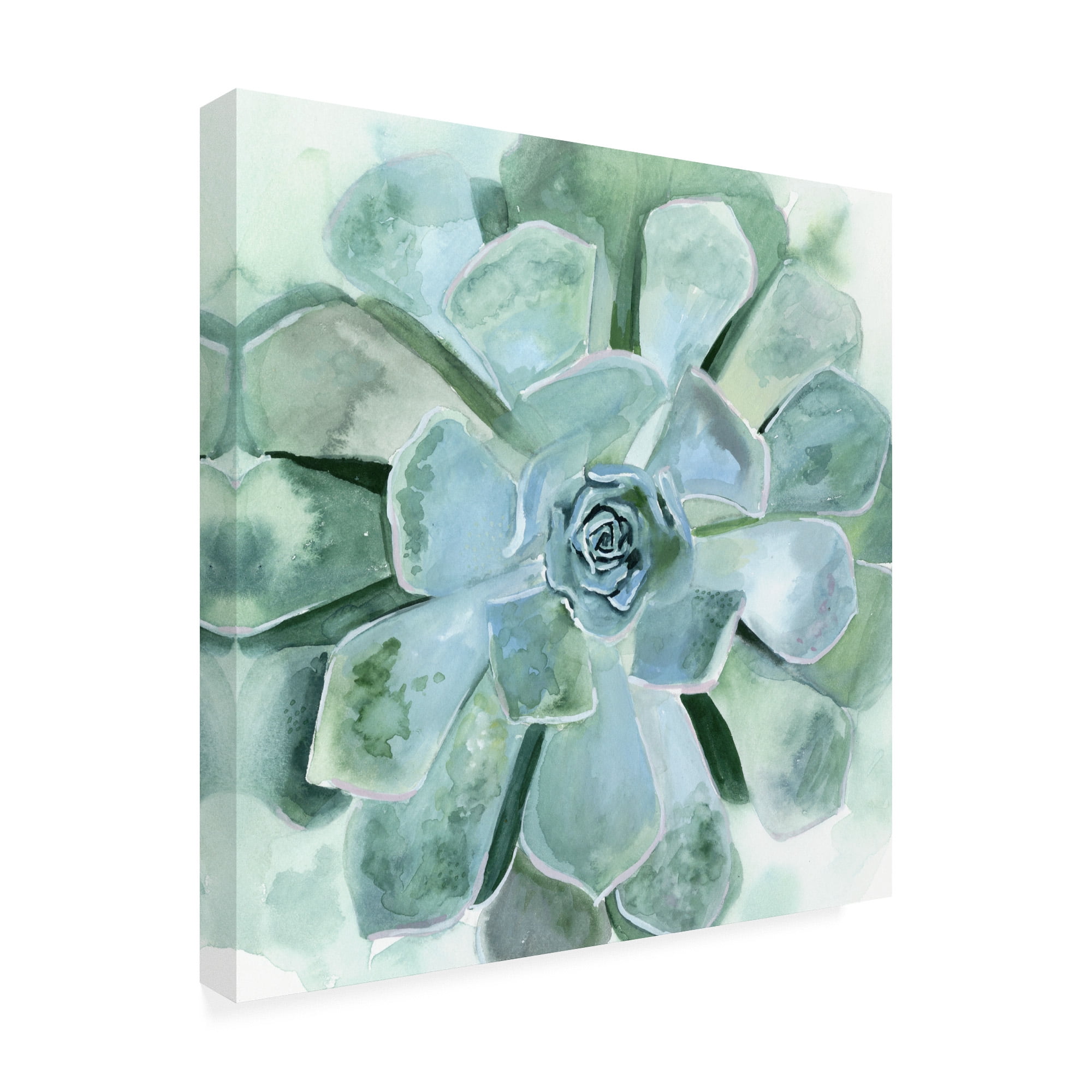 Trademark Fine Art 'Verdant Succulent III' Canvas Art by Victoria Borges
