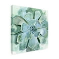 thumbnail image 2 of Trademark Fine Art 'Verdant Succulent III' Canvas Art by Victoria Borges, 2 of 3