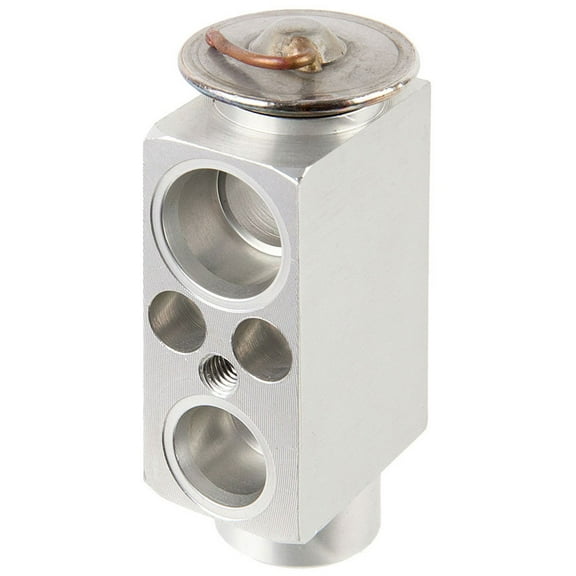 For BMW X5 & X6 A/C AC Expansion Valve Device - BuyAutoParts