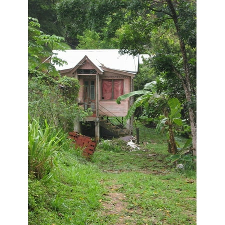 Old Hub - LAMINATED POSTER Lapsed Bananas Caribbean Plantation Hut Old Poster Print 24 x 36