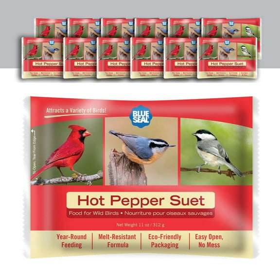 Blue Seal Premium Hot Pepper Suet Cake for Wild Birds - 11oz Suet Feeded (Pack of 12) - New