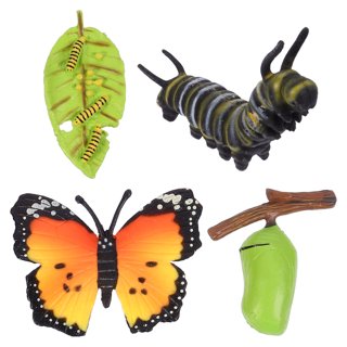 New 4Pcs Life Cycle Kit, Caterpillars to Monarchs Safariology Bug Teaching  Aids