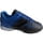 Blue/Black