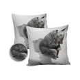thumbnail image 2 of Outdoor Throw Pillow Cover Rhinoceros Sitting on the Toilet Waterproof Cushion Covers 2 Pack Gray Funny Animals Art Pillow Cases Home Decoration for Patio Garden Couch Sofa, 2 of 7