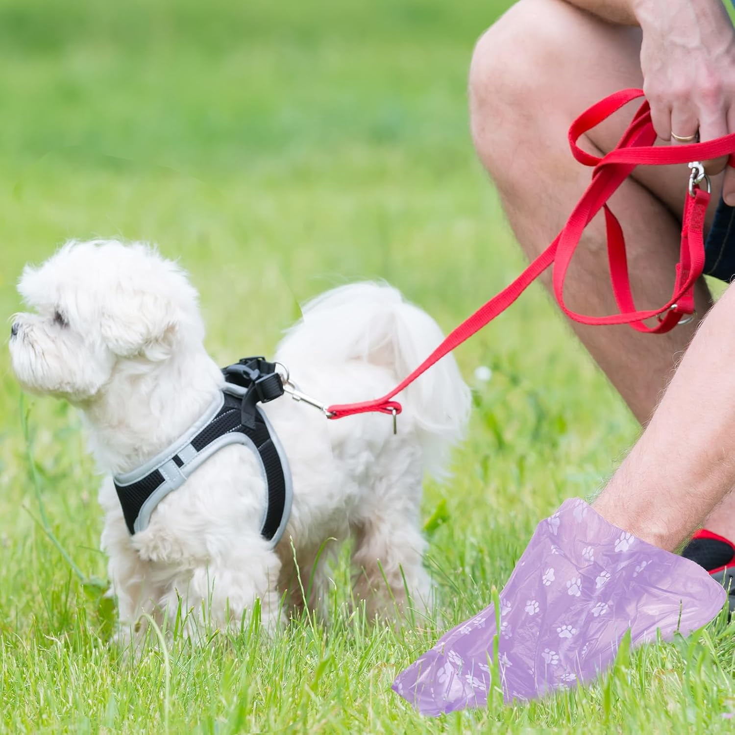 Disposable Dog Poop Bags, 3000 Counts in 200 Rolls for Pet Waste Cleanup Outdoor Walking Travel, Mixed Colors Paw Print Style
