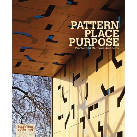 Pattern Place Purpose: Procter and Matthews Architects (Paperback)