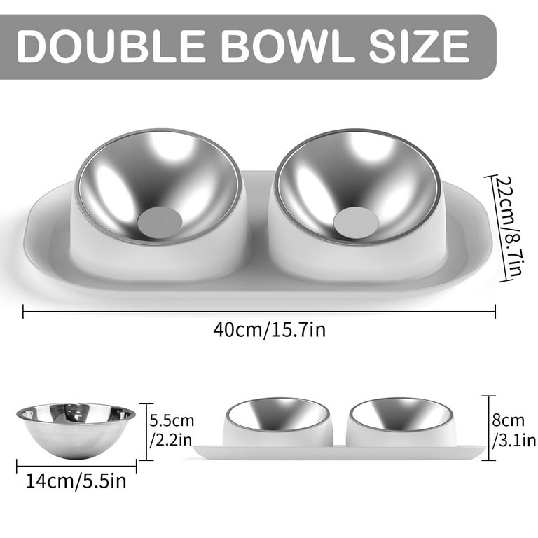 Ptlom Elevated Stainless Steel Pet Food Bowl with Stands, Raised Dog Cat  Feeding Bowls Set Suitable for Cats and Small Dogs, Green