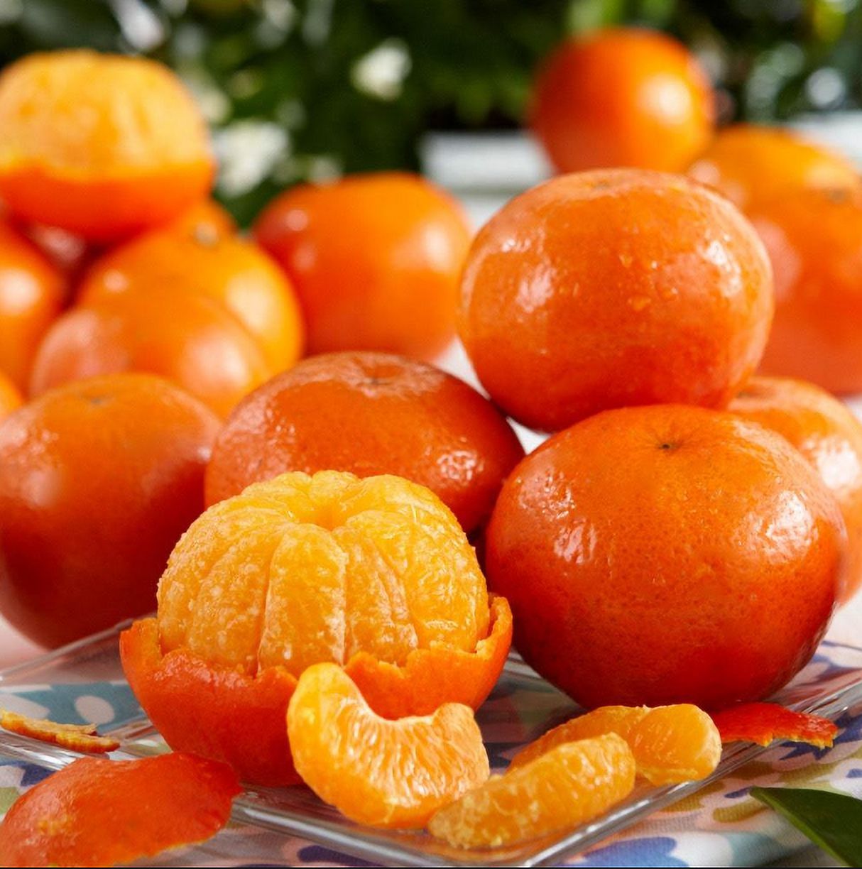 Fresh Tangerine, Each