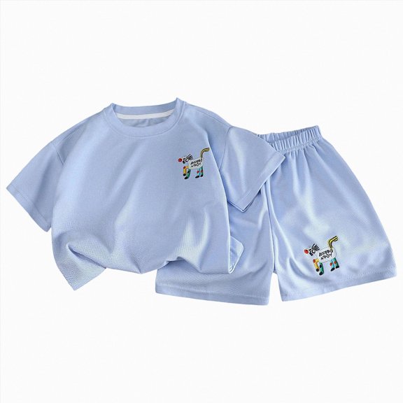 Kogui Boy Clothes Outfits Teen Boys Summer Clothes Two Piece Short Sleeve T-Shirt and Shorts Casual Outfit Set 4T 5T (Sky Blue,4-5 Years)