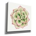 thumbnail image 2 of Epic Graffiti 'Tropical Plant IV' by Grace Popp, Canvas Wall Glass, 37"x37", 2 of 2