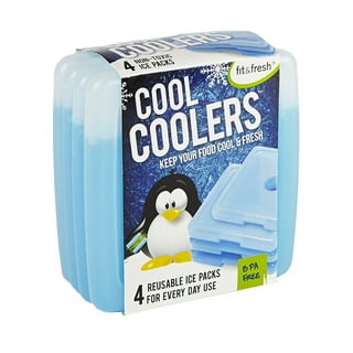 Fit & Fresh XL Cool Coolers Freezer Slim Ice Pack for Lunch Box, Set o –  Fleishigs Magazine
