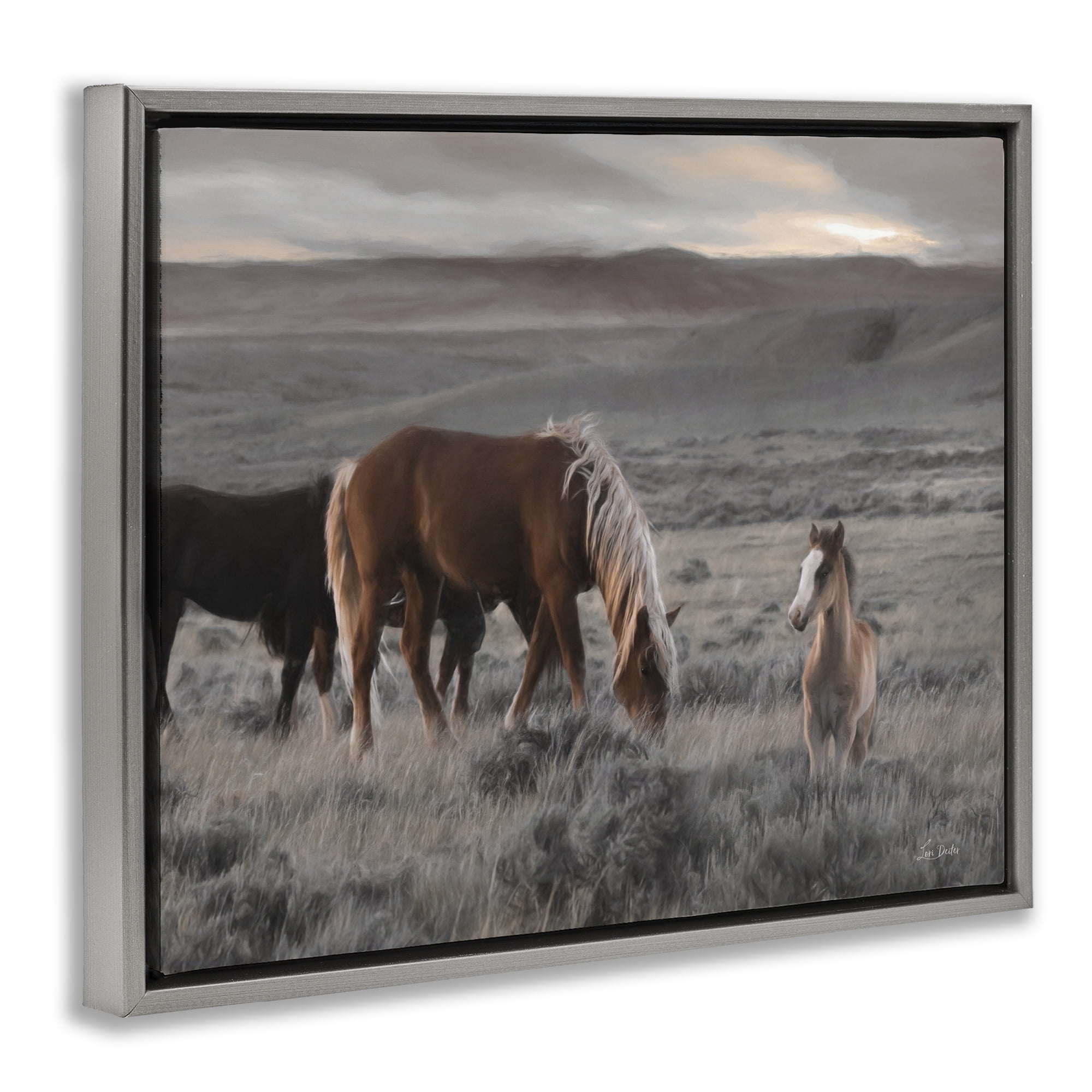 Stupell Industries Country Horses in Valley Animals Photography Gray Floater Framed Canvas Art Print Wall Art, 21 x 17