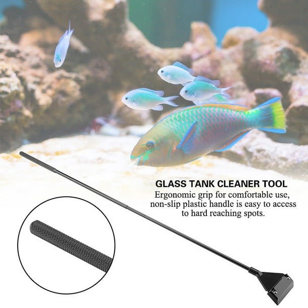 Gupbes Aquariums Fish Tanks Cleaner Algae Scraper Detachable Tank Blade  Glass Cleaner Tool,Aquariums, Glass Tank Cleaner Tool 