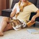thumbnail image 5 of Balery Western Cowboy Countryside Pantalones cortos de pijama de punto de algodón para hombre con cinturilla y bolsillos-Large, 5 of 6