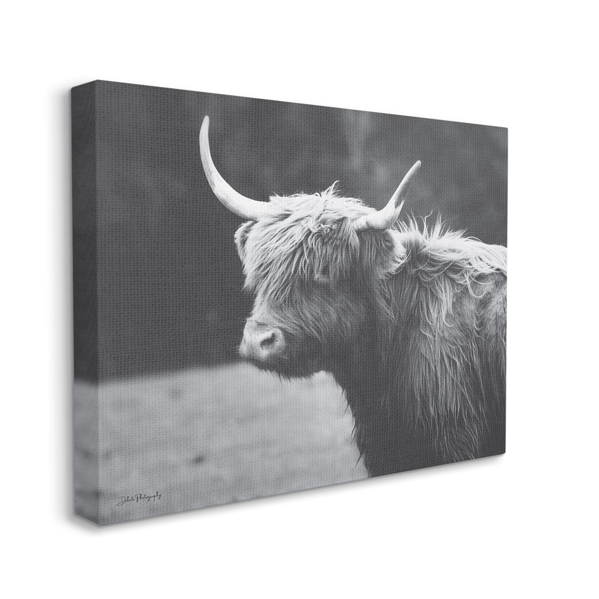 Stupell Country Cattle Highland Farm Animal Animals & Insects Photography Gallery Wrapped Canvas Print Wall Art