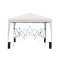 thumbnail image 2 of 10x10 Pop up Canopy Tent, Outside Canopy with 4 pcs Sand Bag and Carry Bag, UPF50+ Straight Leg Folding Instant Shelter Frame Powder-Coated Steel Pipes for Beach,Party and Camping,  Beige, 2 of 5