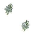 thumbnail image 3 of Billuyoard Decoraciones realistas para terrarios - Apariencia realista Plantas de bajo mantenimiento Hoja de taro artificial hoja de malanga 2Conjunto, 3 of 6