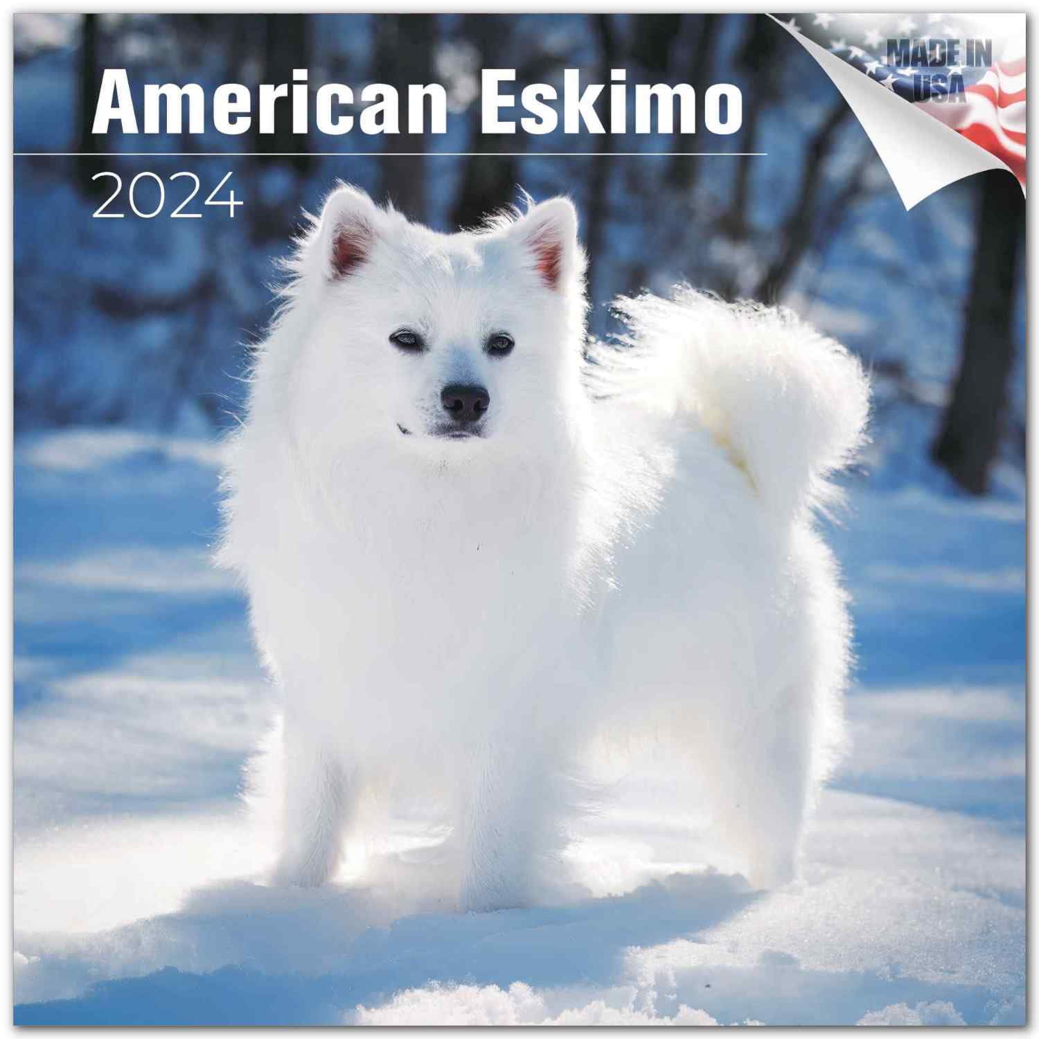 2023 2024 American Eskimo Calendar Dog Breed Monthly Wall Calendar
