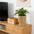 thumbnail image 5 of YANDE-14.4in Tall Planters – Self Watering Plant Pots with Drainage & Water Level Indicator, Outdoor Planters for Porch, Indoor Planters forLiving Room, Home Office, Patio (Gold), 5 of 5