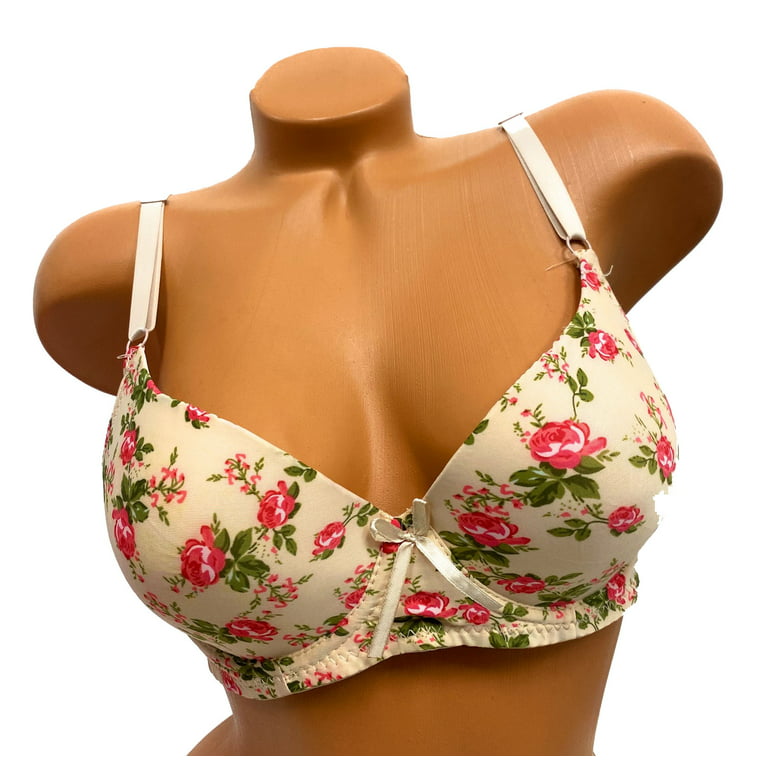 Women Bras 6 Pack of T-shirt Bra B Cup C Cup D Cup DD Cup DDD Cup 42DD  (S6693)