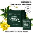thumbnail image 3 of Betterbrand Mullein Tea Bags for Lung Detox - Respiratory Support with Thyme, Elderberry, Ginseng, Ginger, Caffeine Free Herbal Blend - 15 Tea Bags (Pack of 1 ), 3 of 9