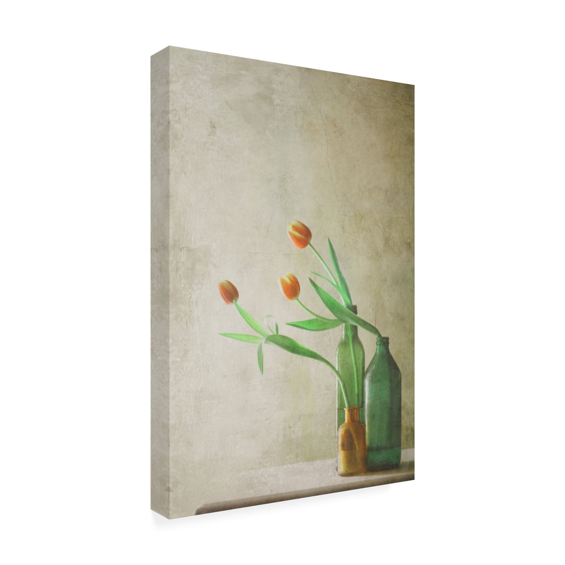 Canvas Wall Art - Delphine Devos 'Three Tulips' Wall Art for Living Room, Bedroom, or Office Décor by Trademark Fine Art - 30 x 47 Inches