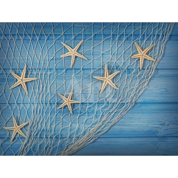 Seastars on the Fishing Net on a Blue Background, Unframed Photographic Print Wall Art by egal Sold by Art.Com