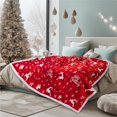 thumbnail image 1 of Manta PAVILIA Premium Christmas Sherpa 150 x 200 cm, color rojo, 1 of 9