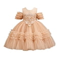 thumbnail image 3 of AHTJRT Flower Girls Dress Cap Sleeve Birthday Outfits Wedding Butterfly Party Pageant Ball Gowns Cold Shoulder Mesh Tutu Dress Beige 5-6 Years, 3 of 7