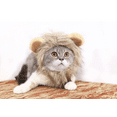 thumbnail image 3 of Halloween pet hat cat hat Velcro adjustable L, 3 of 5