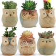 thumbnail image 4 of Maceta de cerámica con forma de búho y dibujos animados para jardinería en casa, con personalidad creativa, 4 of 5