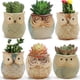 thumbnail image 4 of Maceta de cerámica con forma de búho y dibujos animados para jardinería en casa, con personalidad creativa, 4 of 5
