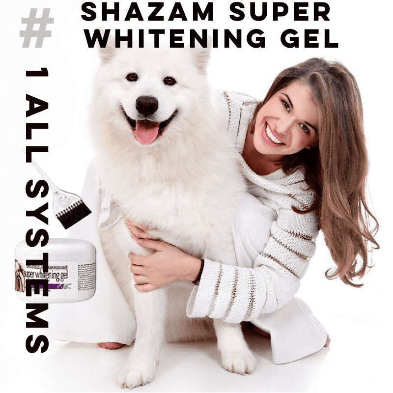 1 All Systems Shazam SUPER WHITENING GEL For Dogs With APPLICATOR