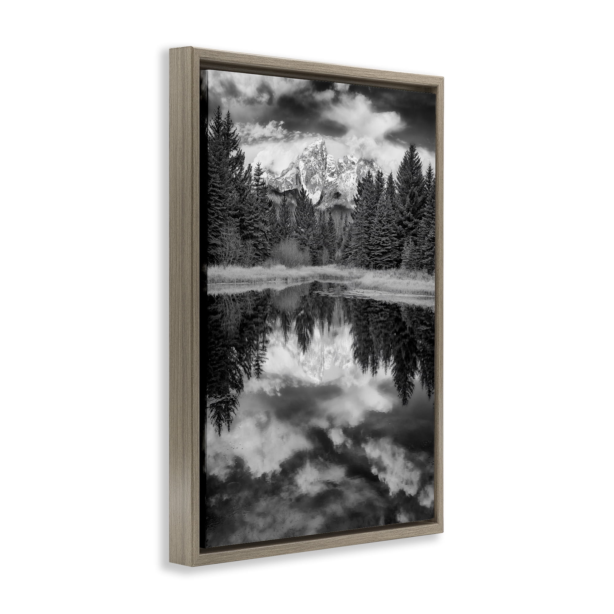 Stupell Industries Black & White Forest Reflection Landscape & Nature Photography Brown Floater Framed Canvas Art Print Wall Art, 17 x 25