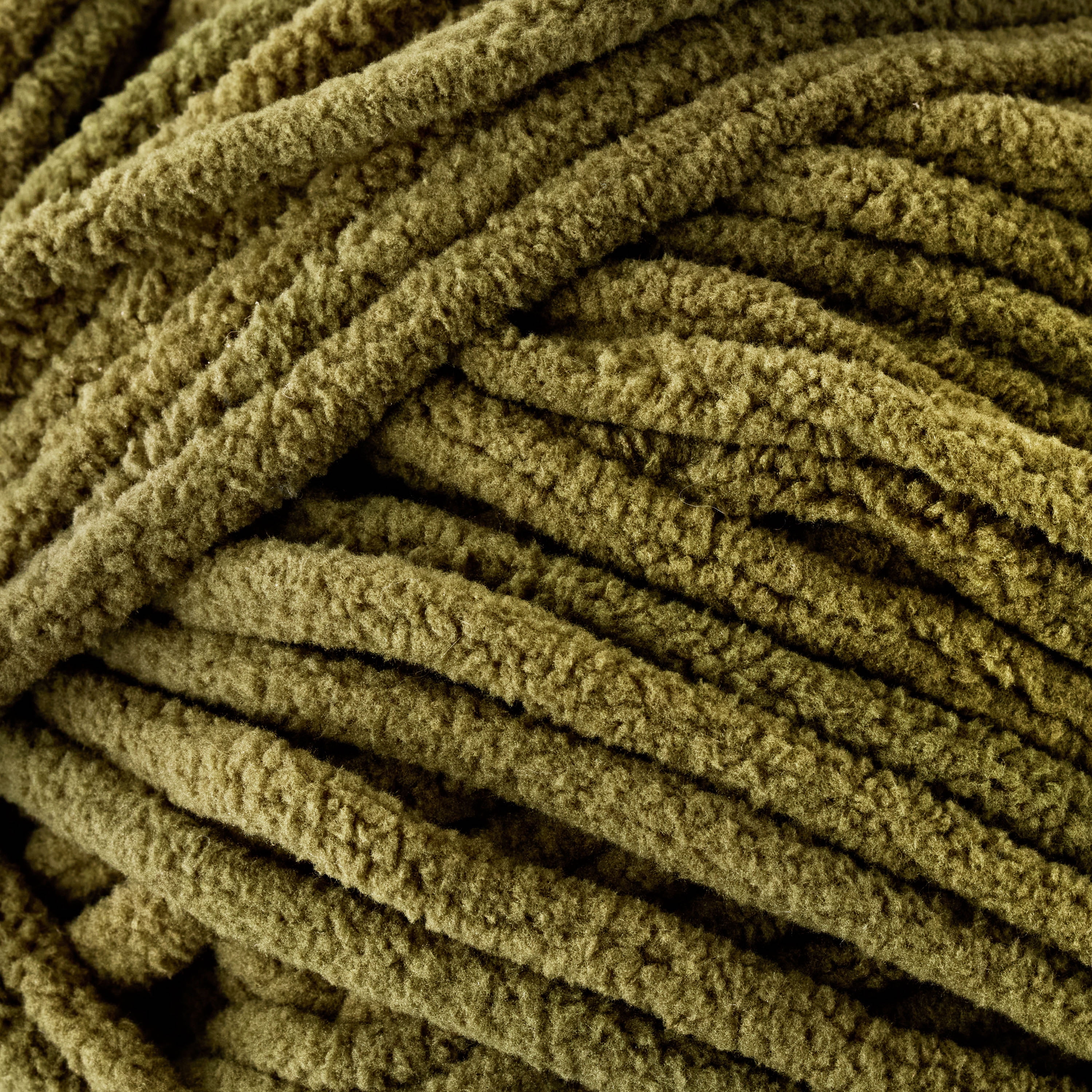 Winter Moss