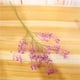 thumbnail image 3 of Fiudx Ofertas Y Liquidación Flor Artificial De Gypsophila, Ramo De Seda Falsa Para Fiesta De Boda, Decoración Del Hogar, 3 of 3