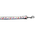 thumbnail image 1 of Little Firecracker Nylon Dog Leash 5/8 Inch Wide 6Ft Long, 1 of 1