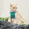 thumbnail image 6 of Tiberpet Cat Dog Beds Small Pet Bed,Self Warming Cat Dog Mat Calming Cushion Soft Cat Bed for Indoor Outdoor Crate Pets Cat Small Dog Sleeping S-XL, 6 of 9