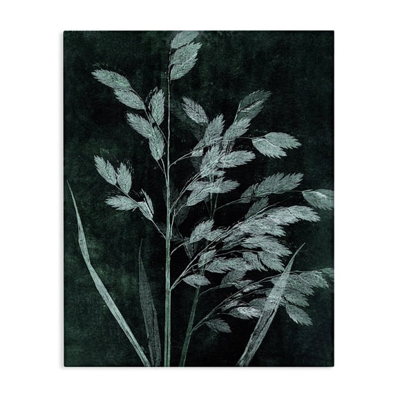 Stupell Industries Eclectic Green Botanical Imprints Canvas Art, 16 x 20, by Pernille Folcarelli