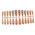 thumbnail image 2 of Seitruly 24 piezas de barniz para uñas postizas, cubierta completa Extra larga, puntas de uñas artificiales, suministros de manicura, accesorios para Arte de uñas tez Seitruly CE012051-10, 2 of 6