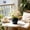 Black#88, variant on Matte Black Spherical Striped Ceramic Vase with Tray, 5.7" Round Scandinavian Flower planter, Minimalist Desktop Decor for Fresh & Dried Flowers