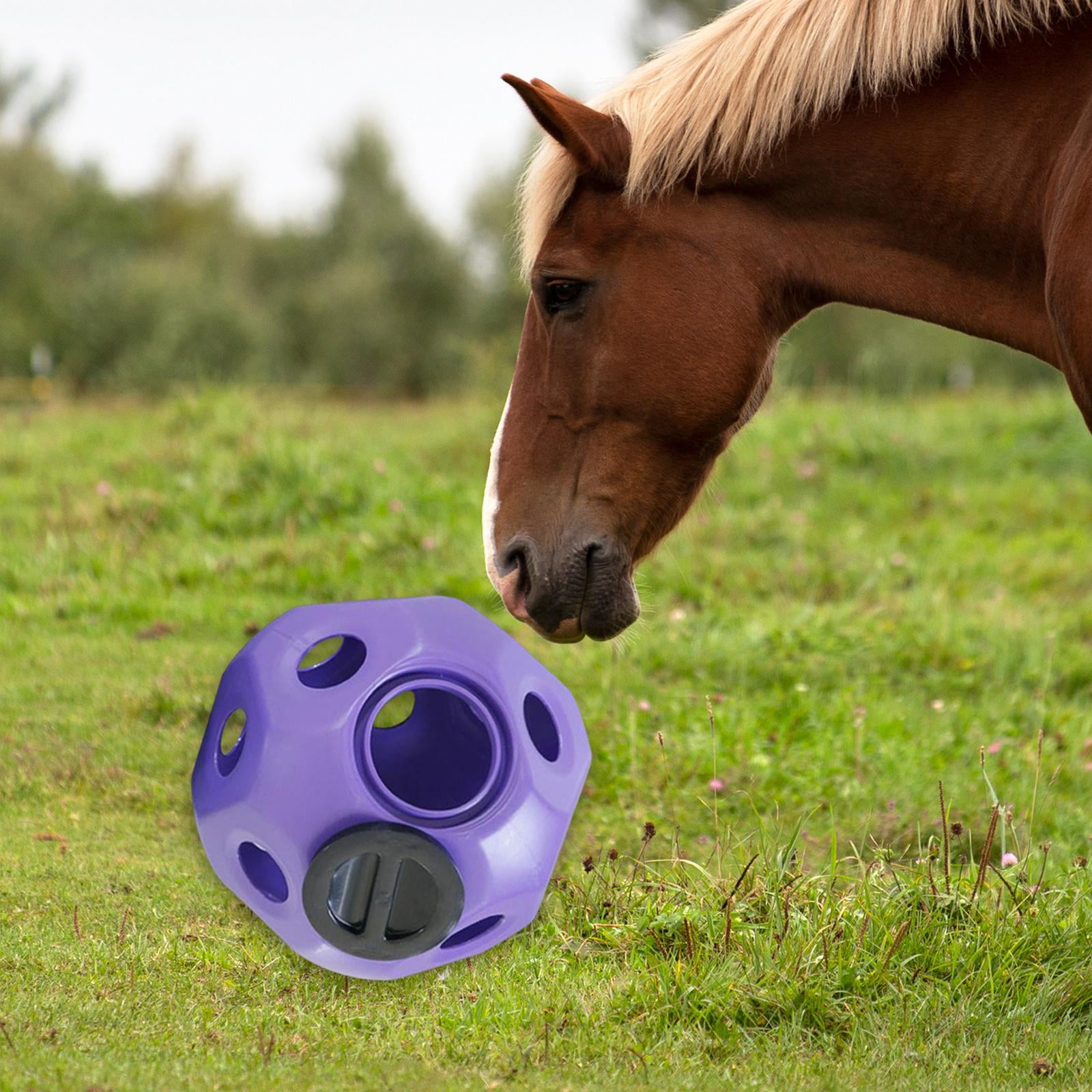 Horse Treat Ball Hay Feeder Toy For