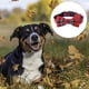 thumbnail image 3 of Collar de lana Dinheiro Dog Christmas con collar de perro con lazo cálido y suave de nailon,, 3 of 5