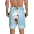 thumbnail image 3 of Naloa Puppy Licks Nose Men's Short Pajama Pants, Lounge Comfort Shorts with Elasticized Waistband and Side Pockets - Medium, 3 of 9