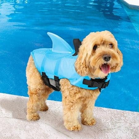 Puppy life jackets Clearance