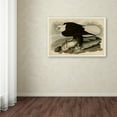 thumbnail image 3 of Trademark Fine Art 'Whiteheaded Eagleplate 31' Canvas Art by Audubon, 3 of 3